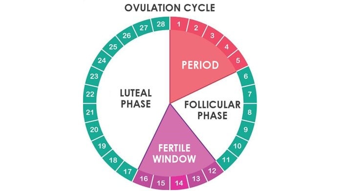 Cambio en el ciclo menstrual